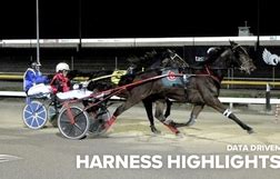 australian harness racing odds|ll Best Harness Racing Betting Sites in Australia Top 7 in 2024.